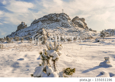 Winter landscape in the snowy forest and mountain near Czestochowa, Poland. Winter landscape in the snowy forest and mountain near Czestochowa, Poland. 135031196