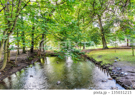 The river in the Park located just by famous cathedral in Gdansk, Oliwa, Poland 135031215