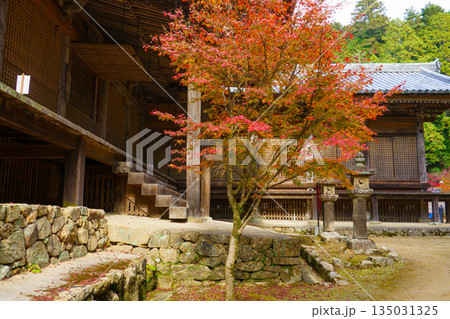 秋の兵庫県姫路市の書写山円教寺の紅葉 135031325