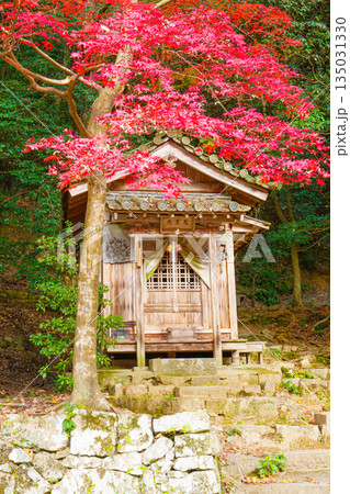 秋の兵庫県姫路市の書写山円教寺の紅葉 135031330