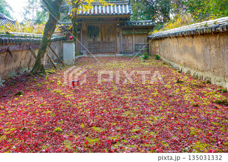 秋の兵庫県姫路市の書写山円教寺の紅葉 135031332