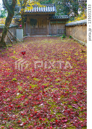 秋の兵庫県姫路市の書写山円教寺の紅葉 135031333