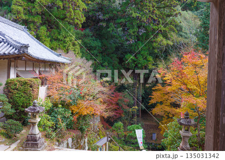 秋の兵庫県姫路市の書写山円教寺の紅葉 秋の兵庫県姫路市の書写山円教寺の紅葉 135031342