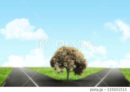 Tree on field in center of forked road Tree on field in center of forked road 135031513