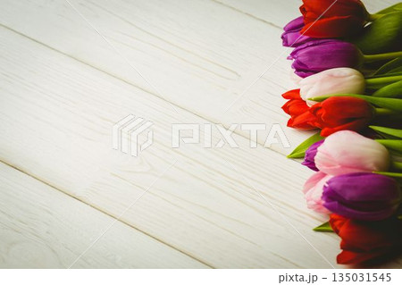 Multicolor tulip blooms with green leaves are resting on whitewashed wood surface in flat design Multicolor tulip blooms with green leaves are resting on whitewashed wood surface in flat design 135031545