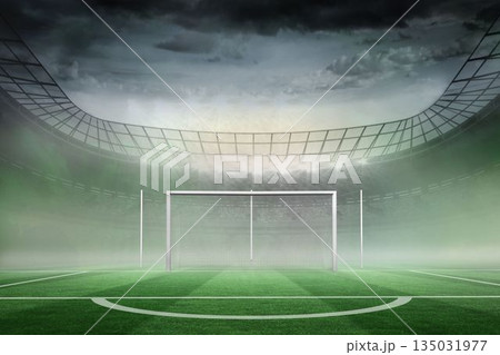 Football pitch in large stadium Football pitch in large stadium 135031977