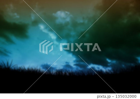 Tranquil scene of grassy field 135032000