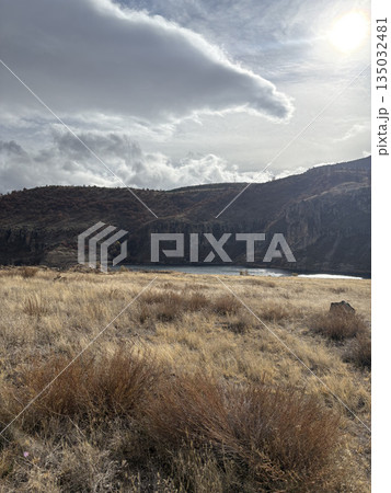 Rocky landscape thistles. High quality photo Rocky landscape thistles. High quality photo 135032481