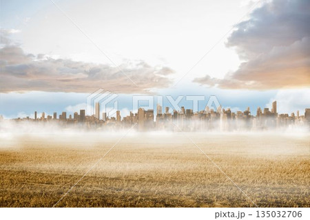 Large city on the horizon past yellow field 135032706