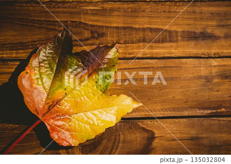 Wooden table with autumn leaves 135032804