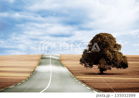Road leading out to the horizon 135032899