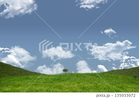 Flat design showing solitary tree is standing on green hills under blue sky with white clouds Flat design showing solitary tree is standing on green hills under blue sky with white clouds 135033072