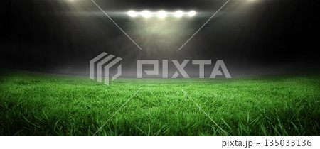 Flat design sports field is glowing under floodlights while green turf is stretching into mist 135033136