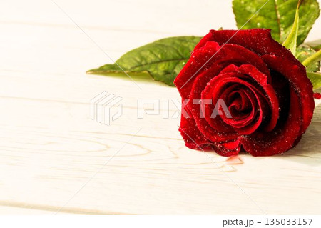 Red rose on wood with copy space 135033157