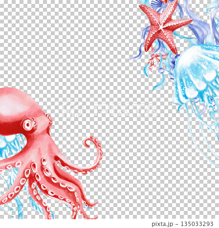 Square frame with an octopus, starfish, and jellyfish. Isolated watercolor illustration of sea creatures for interior design, children's parties, and poster printing. Square frame with an octopus, starfish, and jellyfish. Isolated watercolor illustration of sea creatures for interior design, children's parties, and poster printing. 135033293