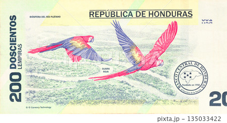 Banco Central de Honduras distributes 200 lempira currency note throughout nation. Banco Central de Honduras distributes 200 lempira currency note throughout nation. 135033422
