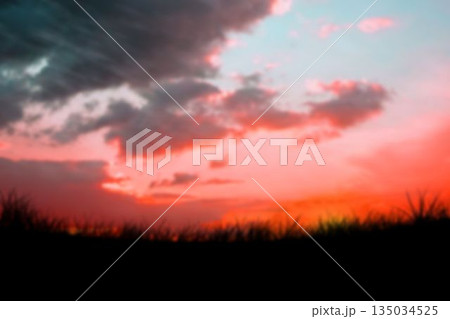 Silhouette grassy field against sky Silhouette grassy field against sky 135034525