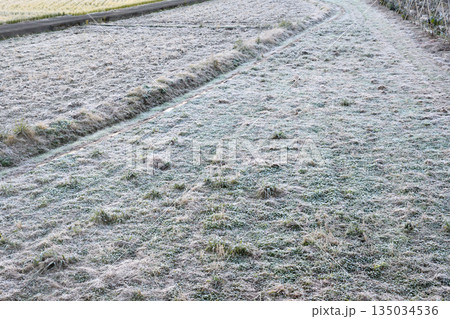 降霜、霜降り 135034536