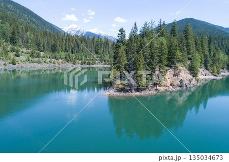 Trees growing on mountain by calm river against sky 135034673