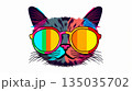 Cat with oversized glasses 135035702
