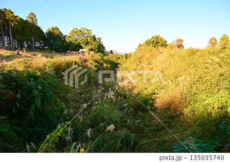 諏訪原城跡 外堀 島田市 諏訪原城跡 外堀 島田市 135035740