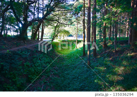 諏訪原城跡　土塁　島田 135036294