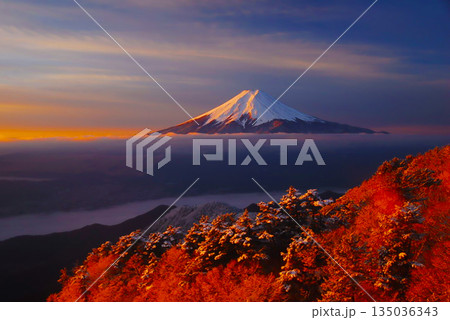 三ツ峠から見る雪の富士山 135036343