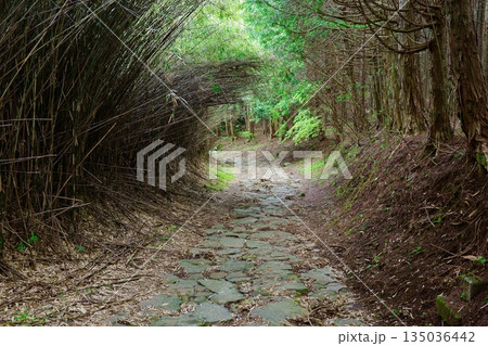 東海道五十三次・箱根宿三島側石畳 東海道五十三次・箱根宿三島側石畳 135036442