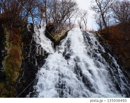 晩秋の北海道知床オシンコシンの滝 135036493