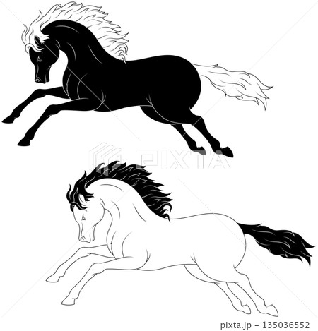 Wild Horse Riding 135036552