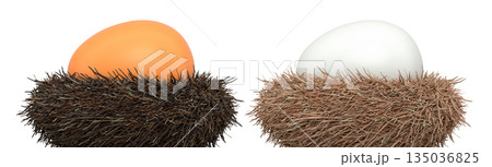 Brown and white eggs in bird nests isolated on white transparent background. Brown and white eggs in bird nests isolated on white transparent background. 135036825
