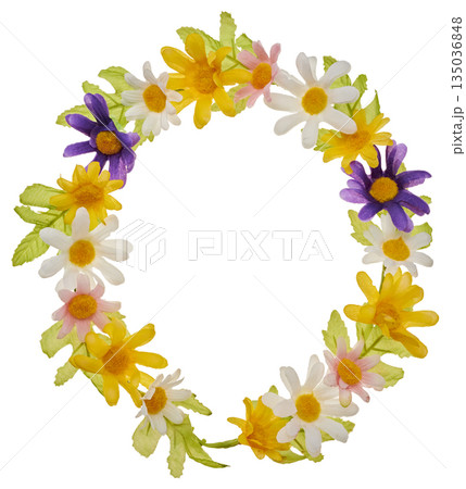 色とりどりのマーガレットの花冠 フレーム リース 白バック 切り抜き素材 色とりどりのマーガレットの花冠 フレーム リース 白バック 切り抜き素材 135036848