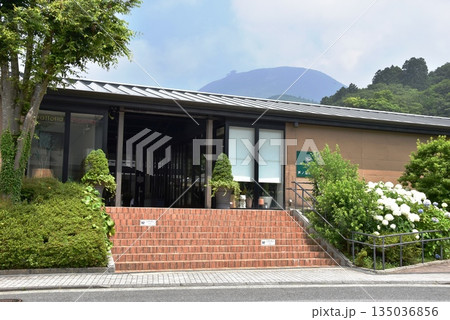 箱根町 イタリアンレストラン芦ノ湖テラスと紫陽花 箱根町 イタリアンレストラン芦ノ湖テラスと紫陽花 135036856