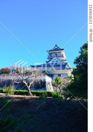 小山城 天守閣 吉田町 小山城 天守閣 吉田町 135036915