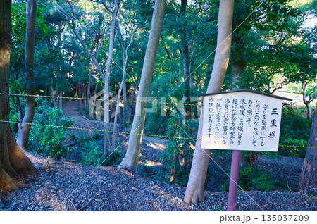 小山城　三重堀　吉田町 135037209
