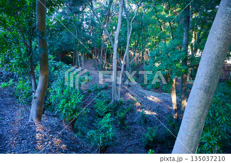 小山城 三重堀 吉田町 小山城 三重堀 吉田町 135037210