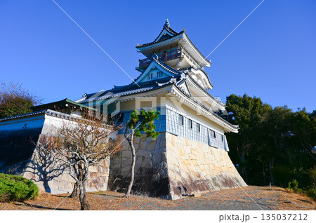 小山城 吉田町 小山城 吉田町 135037212