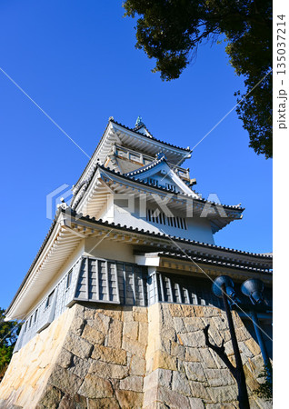 小山城　吉田町 135037214