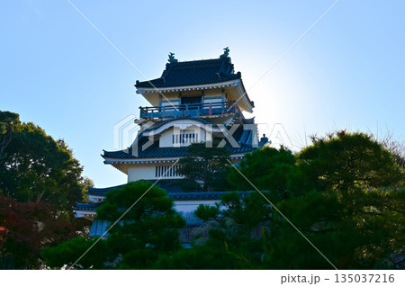 小山城 吉田町 小山城 吉田町 135037216