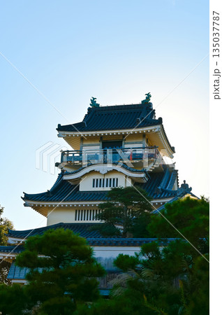 小山城　吉田町 135037787