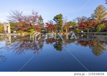 京都　円山公園　秋の日本庭園 135038036