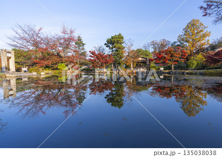 京都　円山公園　秋の日本庭園 135038038