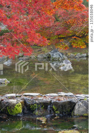 京都 円山公園 秋の日本庭園 京都 円山公園 秋の日本庭園 135038046