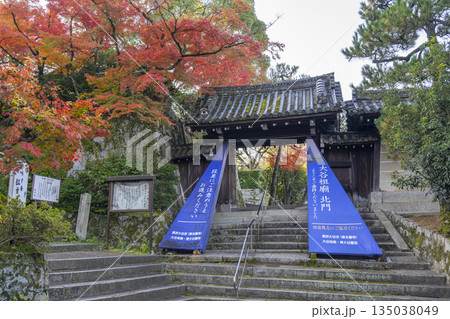 京都 秋の円山公園 紅葉に包まれた大谷祖廟北門 京都 秋の円山公園 紅葉に包まれた大谷祖廟北門 135038049