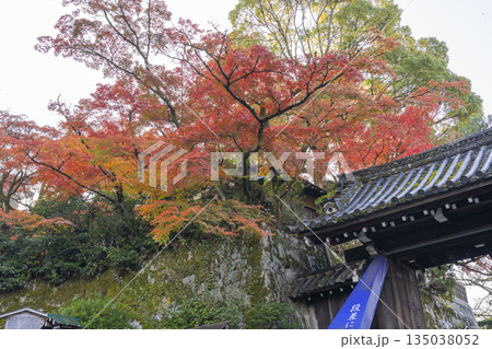 京都　秋の円山公園　紅葉に包まれた大谷祖廟北門 135038052