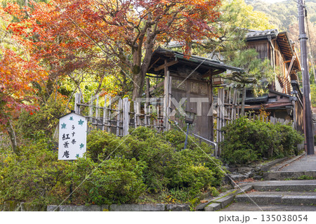 京都　円山公園　紅葉庵　秋の日本庭園 135038054