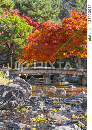 京都　円山公園　秋の日本庭園 135038059