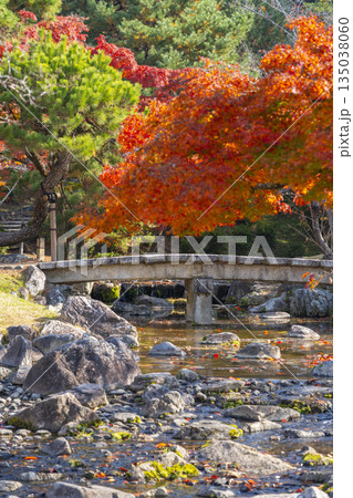 京都　円山公園　秋の日本庭園 135038060