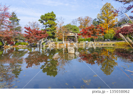 京都　円山公園　秋の日本庭園 135038062