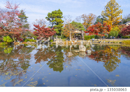 京都　円山公園　秋の日本庭園 135038063
